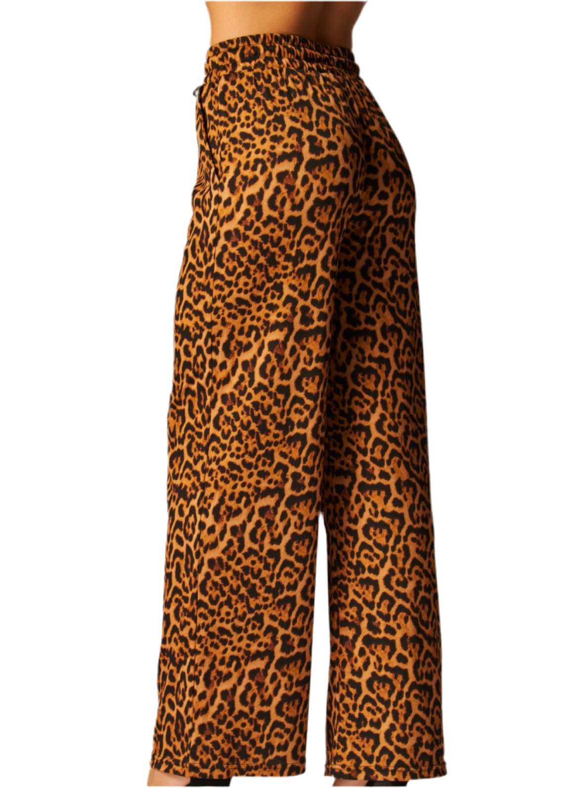 Leopard Print Drawstring Pants