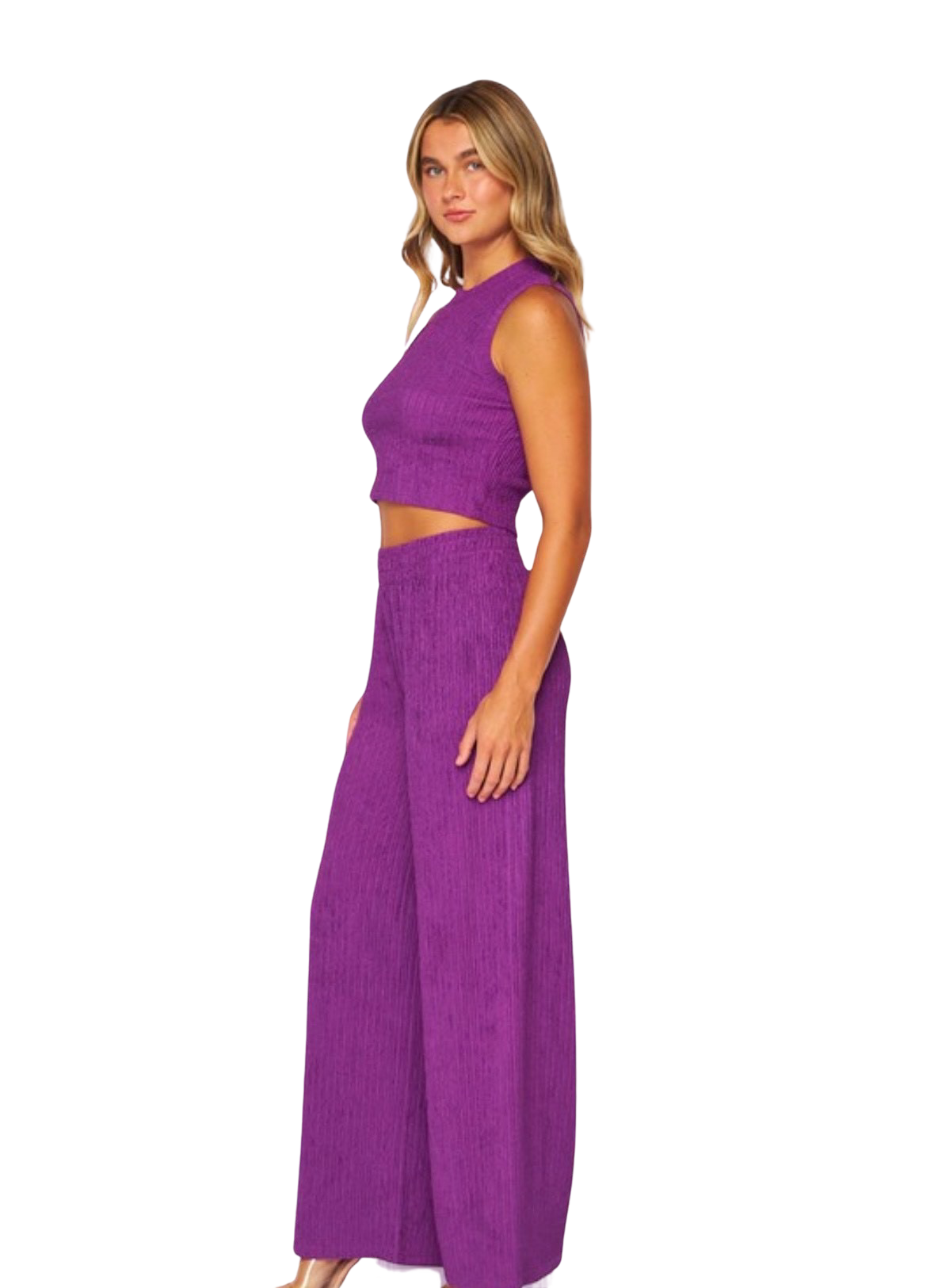 Pleated Two Piece Set